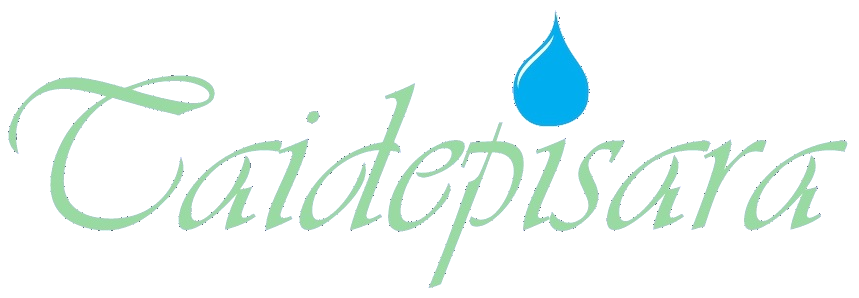 Taidepisara